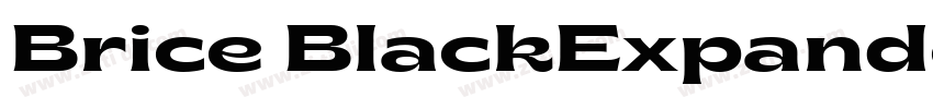 Brice BlackExpanded字体转换